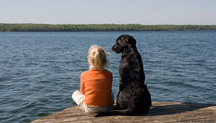 Hvis det rette forhold ikke opbygges mellem hund og ejer vil der let opstå adfærdsproblemer. Disse kan ofte løses gennem adfærdskonsultationer, også kaldet terapi, hundepsykologi, problemløsning, hvorigennem et godt forhold re-etableres mellem hund og ejer. Typiske problemer er angst for at være alene hjemme, angst, aggression, urinering, destruktiv adfærd.