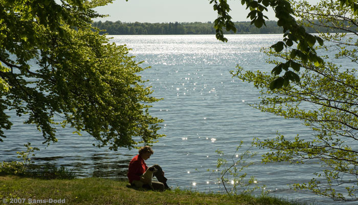 Hunde kan advare personer med sukkersyge / diabetes hvis deres blodsukker niveau bliver for lavt eller for højt. Hunden lære at varsle dette overfor ejeren eller forældre til børn med sukkersyge. De fleste hunderacer kan benyttes. 