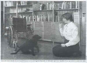 el_nou_201299_3.jpg (35998 bytes)