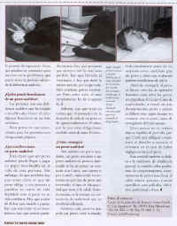 fiapas_010500_3.jpg (79232 bytes)