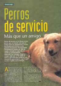 perros_y_compania_2.jpg (114823 bytes)