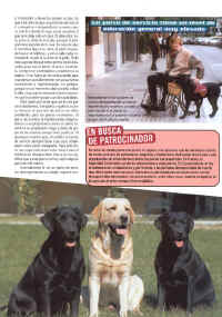 perros_y_compania_4.jpg (144578 bytes)