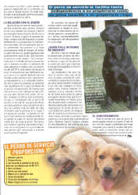 perros_y_compania_5.jpg (202059 bytes)