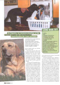 perros_y_compania_6.jpg (130831 bytes)