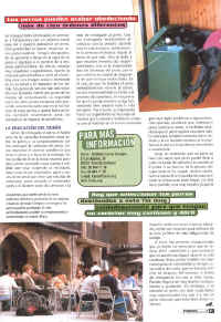 perros_y_compania_8.jpg (175512 bytes)