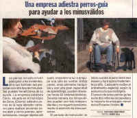 pronto_260200.jpg (56582 bytes)