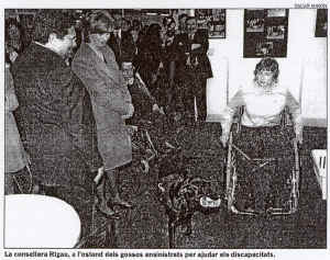 segre_cat_301000_3.jpg (68324 bytes)